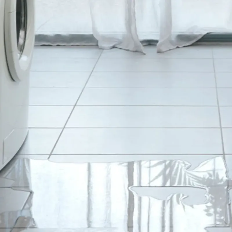 Appliance Leak Cleanup in Cook County, GA