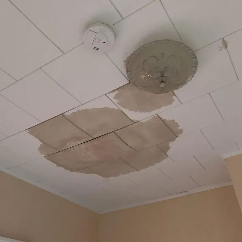Ceiling Water Damage Repair in Cook County, GA