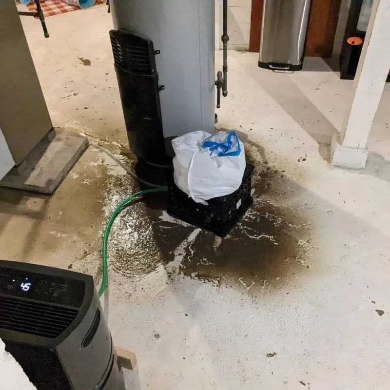 Sewage Backup Cleanup Service in Cook County, GA